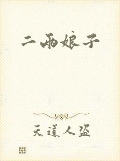 二两娘子封面