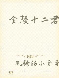 金陵十二君封面