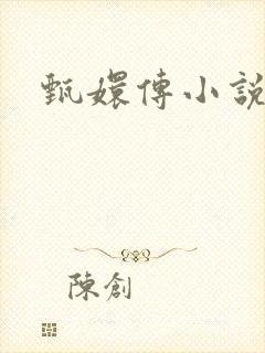 甄嬛传小说封面