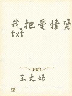 我把爱情煲成汤txt