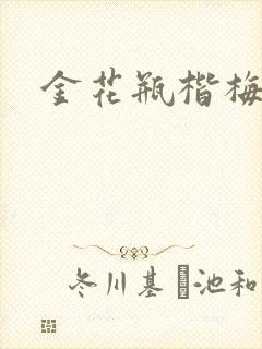 金花瓶楷梅花4封面