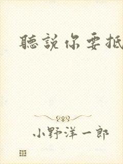 听说你要抵抗我