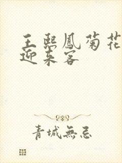 王熙凤菊花门初迎来客