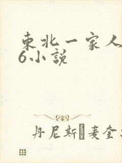 东北一家人1一6小说