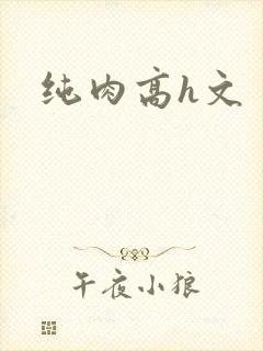 纯肉高h文封面