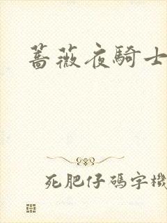 蔷薇夜骑士
