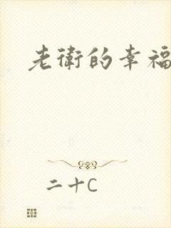 老卫的幸福生活封面