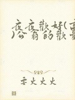 夜夜欢好(高h)公翁的欢爱h封面
