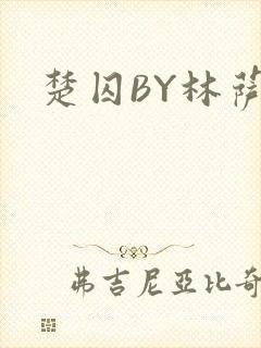 楚囚BY林萨