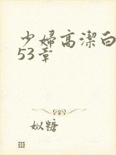 少妇高洁白义第53章封面