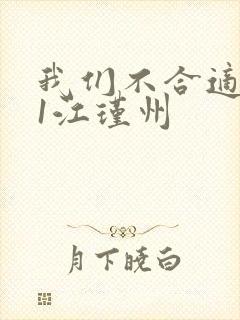 我们不合适1v1江瑾州封面