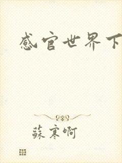 感官世界下载