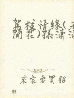 驾校情缘(老树开花)孙潇潇笔趣阁