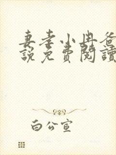 妻孝小冉爸爸小说免费阅读封面