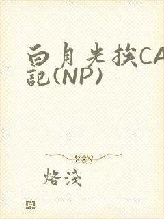 白月光挨CAO记(NP)