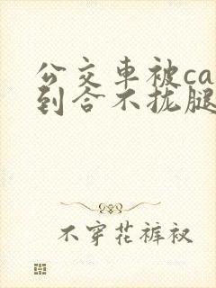 公交车被cao到合不拢腿视频