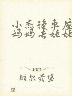 小杰后车座抱着妈妈去姥姥家搬家封面