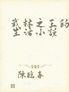 武林之王的退隐生活小说封面