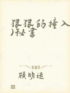 狠狠的撞入(h)秘书