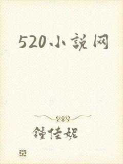520小说网封面