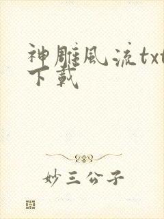 神雕风流txt下载封面