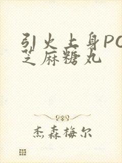 引火上身POP芝麻糖丸