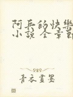 阿兵的快乐生活小说 全章节阅读免费