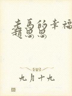 老马的幸福生活赵思思