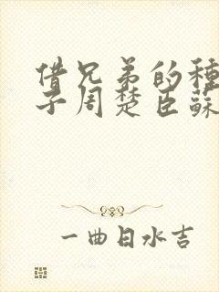 借兄弟的种生孩子周楚臣苏糖