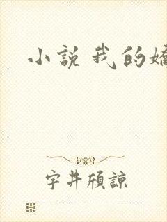 小说 我的娇妻封面