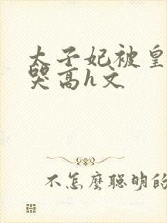 太子妃被皇上c哭高h文