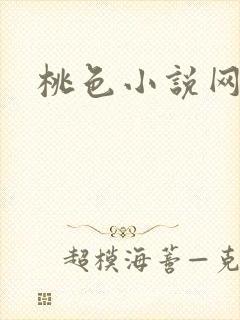 桃色小说网封面