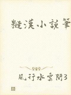 糙汉小说笔趣阁