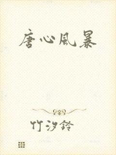 唐心风暴封面