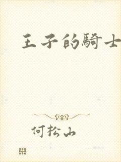 王子的骑士小说
