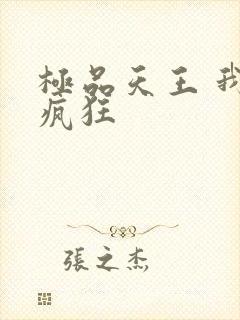 极品天王 我本疯狂