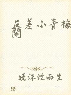 反差小青梅笔趣阁