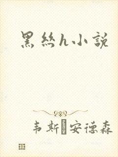 黑丝h小说