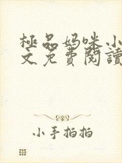 极品妈咪小说全文免费阅读