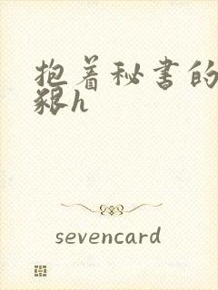 抱着秘书的大乳啃h封面