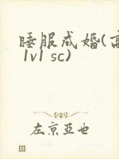 睡服成婚(高h 1v1 sc)