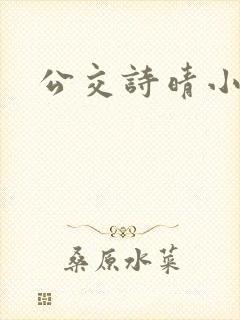 公交诗晴小说