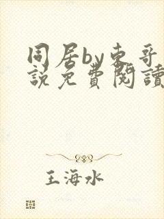 同居by东哥小说免费阅读全文无弹窗封面