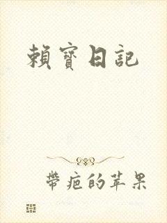赖宝日记
