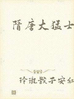 隋唐大猛士封面