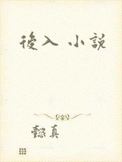 后入 小说