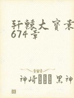 轩辕大宝袁雪妃674章