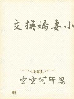 交换娇妻小说