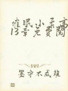 催眠小柔高达第13章免费阅读