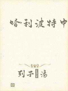 哈利波特中文版